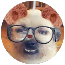 littlemisssteak