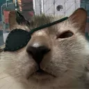 fizzknot