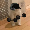 coop_m
