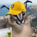 italiancannolli