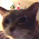 sequenceod