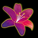 lilianastar