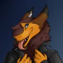 acivev