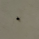 avatar robotsinspace