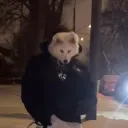 wolfie.kingxx52