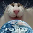 pandawgf
