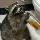 verylazysloth