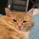 4090