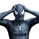 aalmonzer