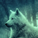 frozen_soul9907's Avatar