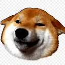 vincesud