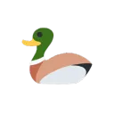 duckk0464