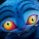 kitnobi