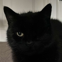 nleglopnar#9467's avatar