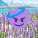 motleydreams