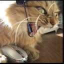 odimet#2693's avatar