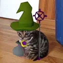 dyshon