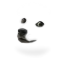 zappyjohn