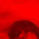 reddavid