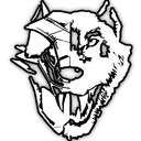lordwolffpv