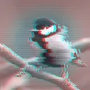 glitchtit