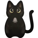 catpirate