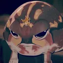 teewi