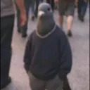 fezzilo