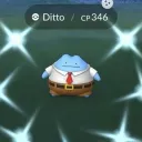 fezzilo