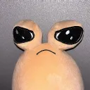 bingusluvr