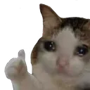 nescuu