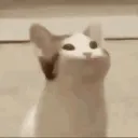 gibbsyaboi