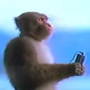 patrick_iii