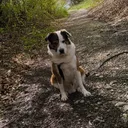 kaixy2k
