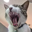 wntrlntrn