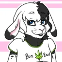 oddbunny