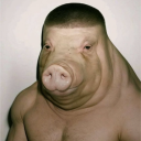 avatar Bungi