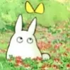totoro6632