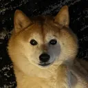 coleavenue