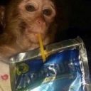 avatar PsychoMenthol