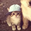 bilaaaaaaaaaaaaal