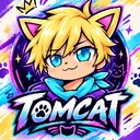 tomcatstudio