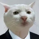 _katamary_