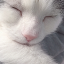 avatar Sleepy