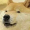 aboowee