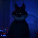 .fc