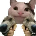 babibbibab