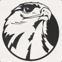 birdmanstunts