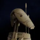 roach_b_me