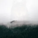 .fogx